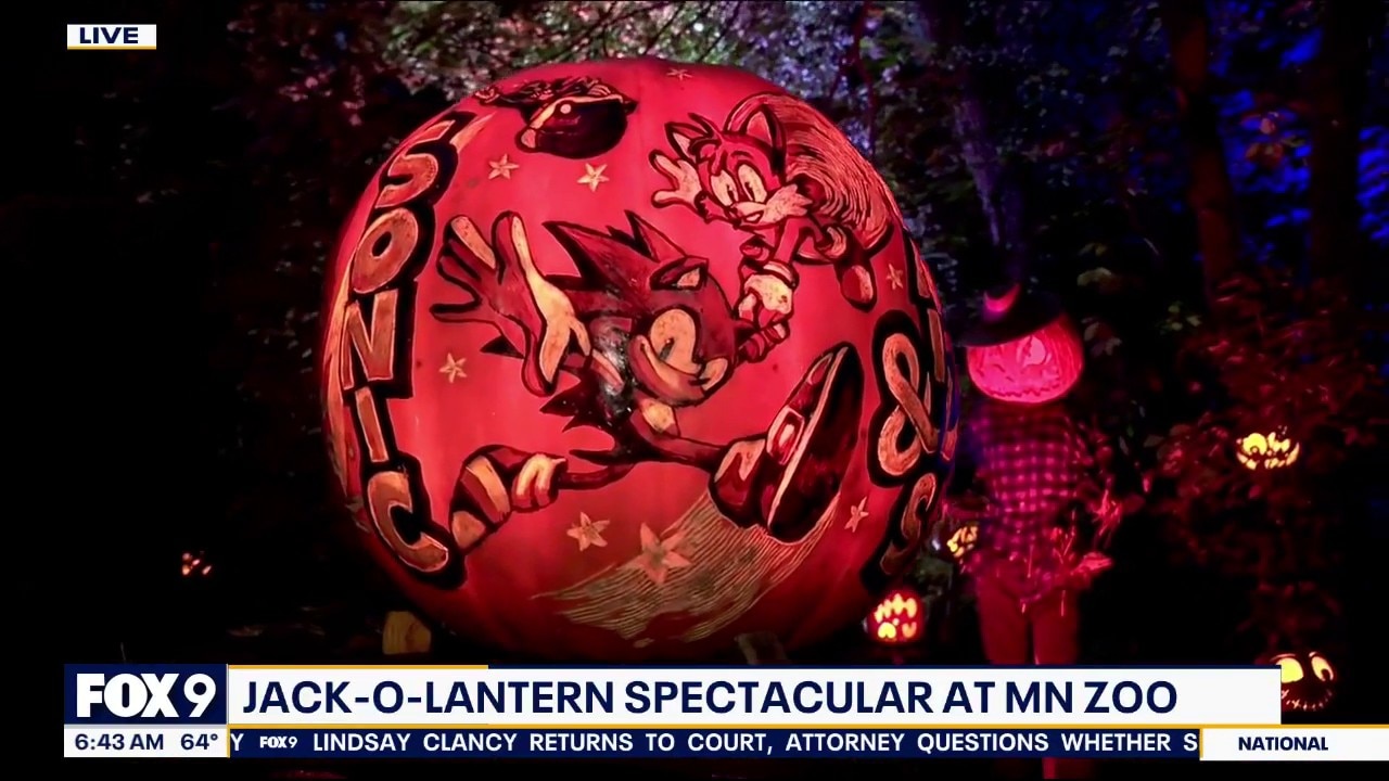5,000 carved pumpkins light up Minnesota Zoo this fall