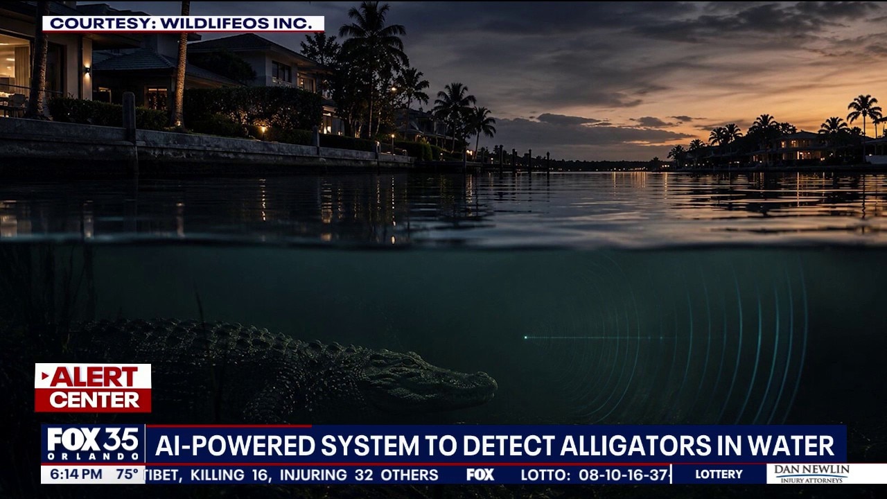 AI to detect alligators? Florida startup developing alarm system