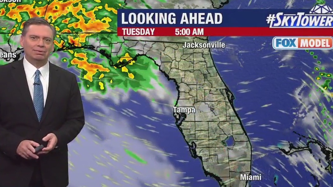 Tampa weather | cold front to bring rain overnight