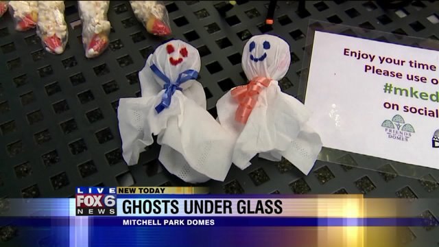 Laura previews the "not so scary" Ghosts Under Glass event
