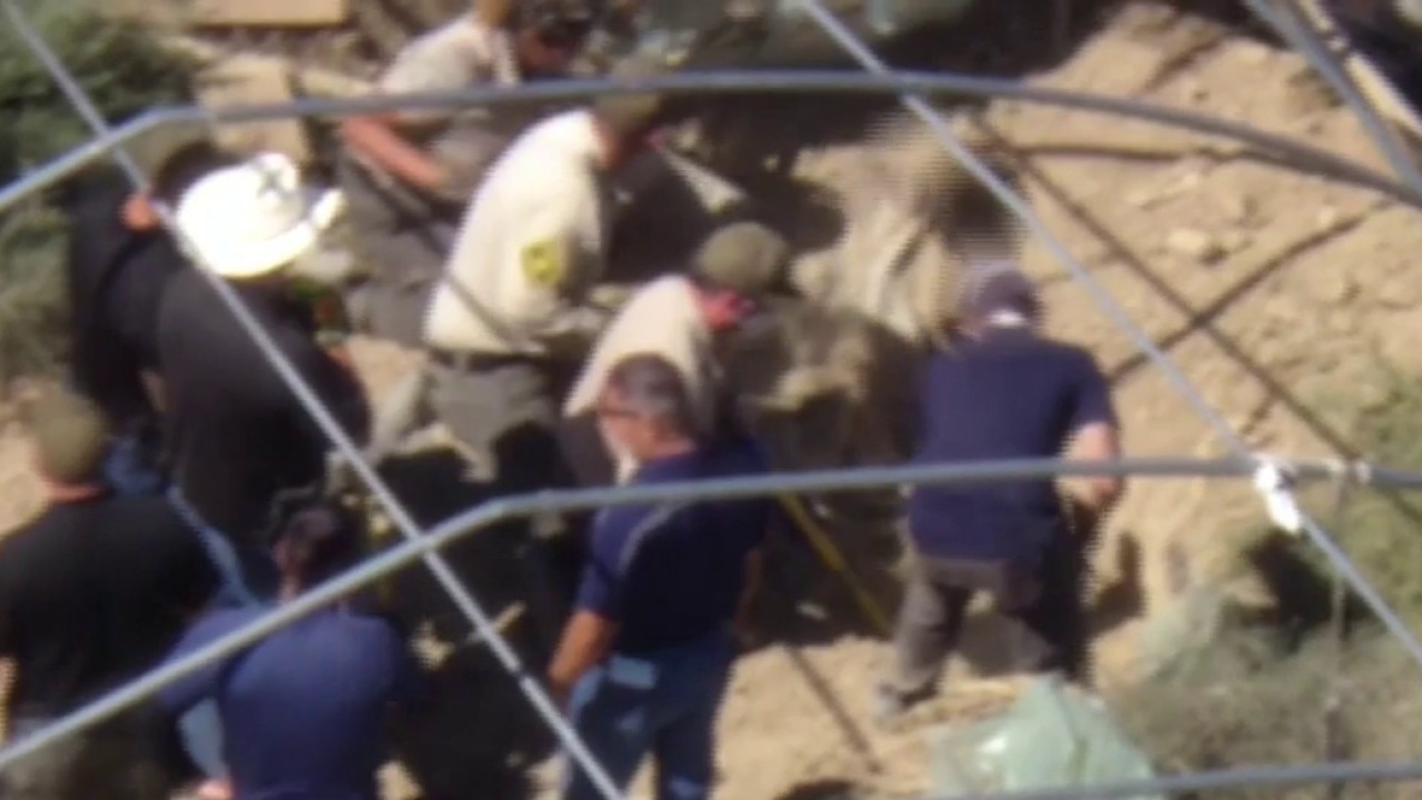 2 bodies found during search for missing person