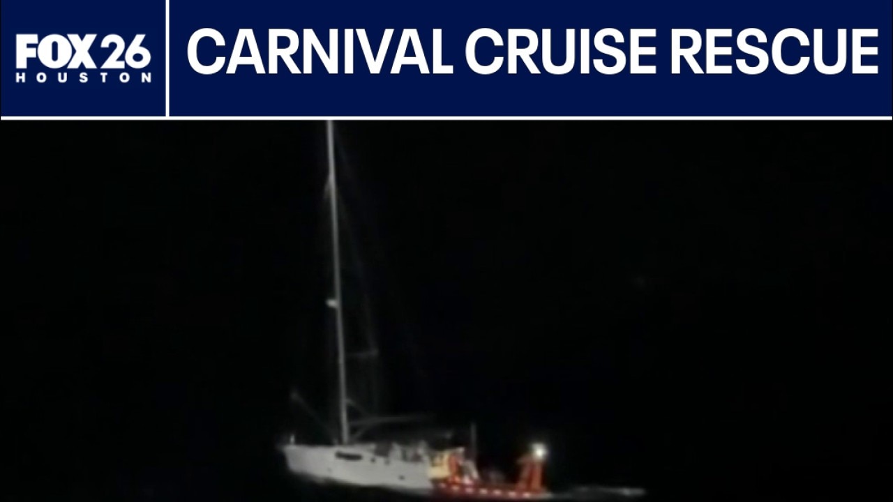 Carnival crew saves sailor, cat