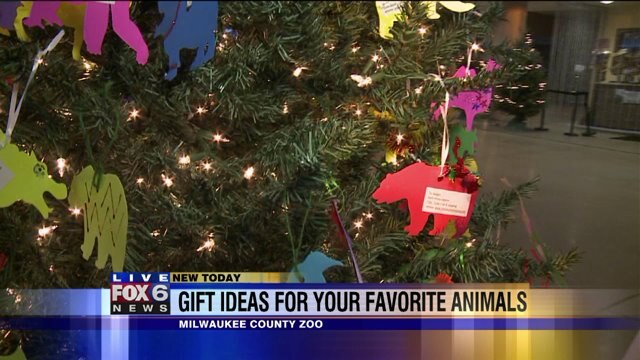 Laura learns about Giving Tree at Milwaukee County Zoo