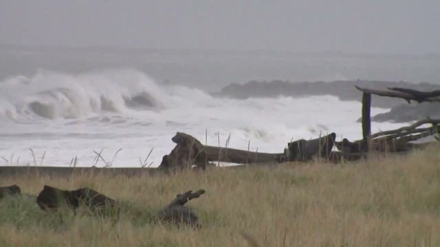 Fall storm response