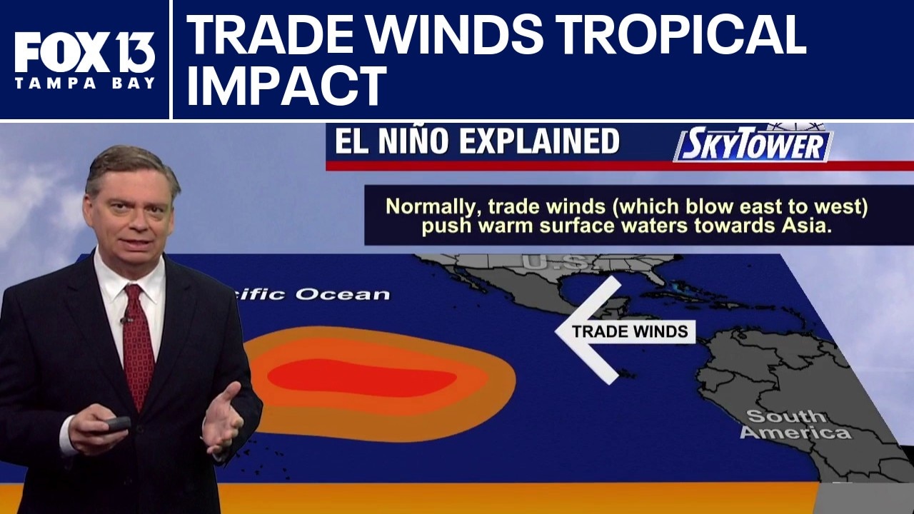 Today's tropical weather forecast