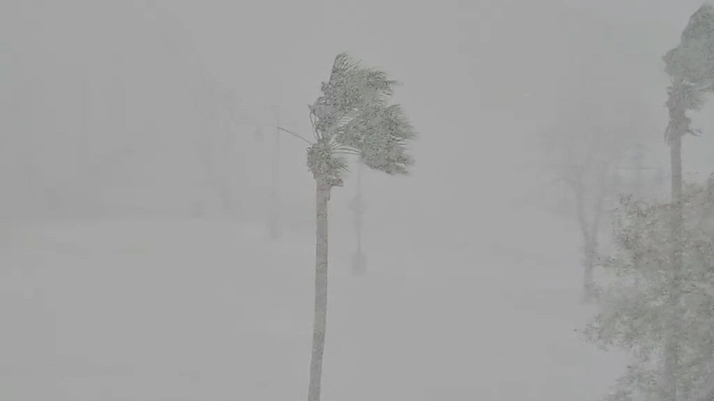 Houston Snow Day Showcase - Part 2