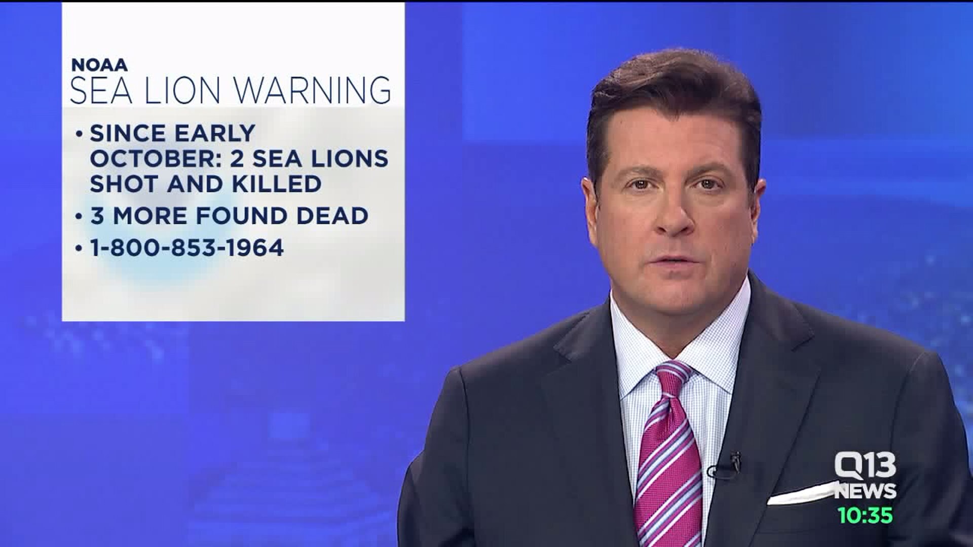 Sea lions killed