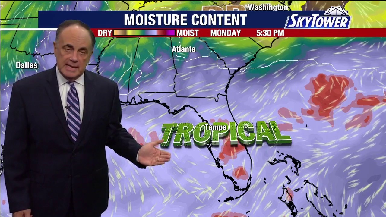 Tampa weather | Monday evening forecast