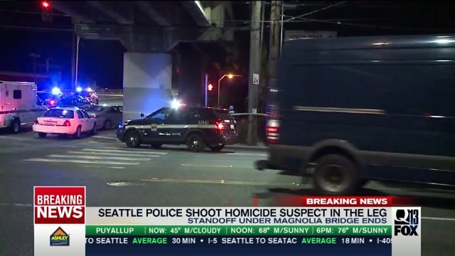 Woman killed under Magnolia Bridge; suspect shot