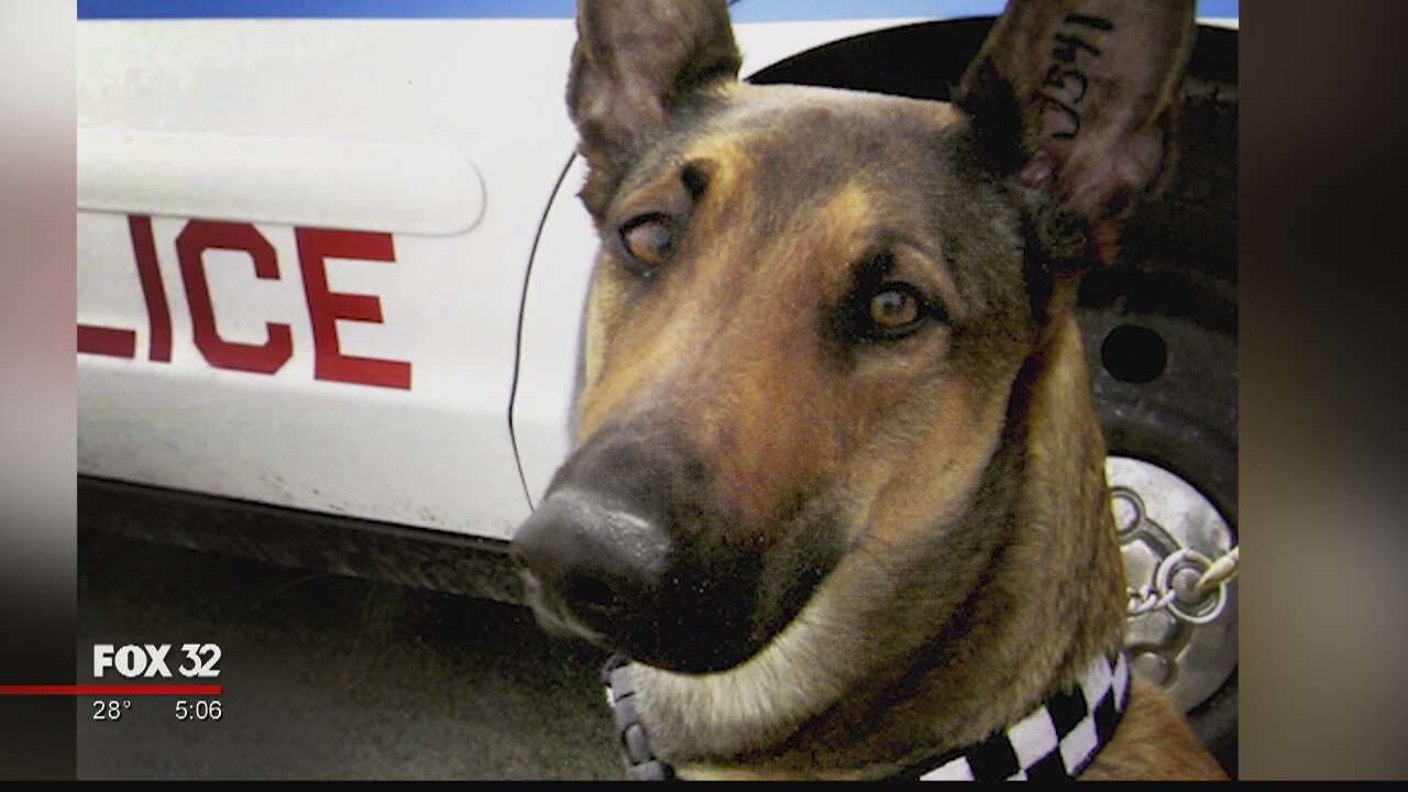 Sad Farewell to CPD K-9