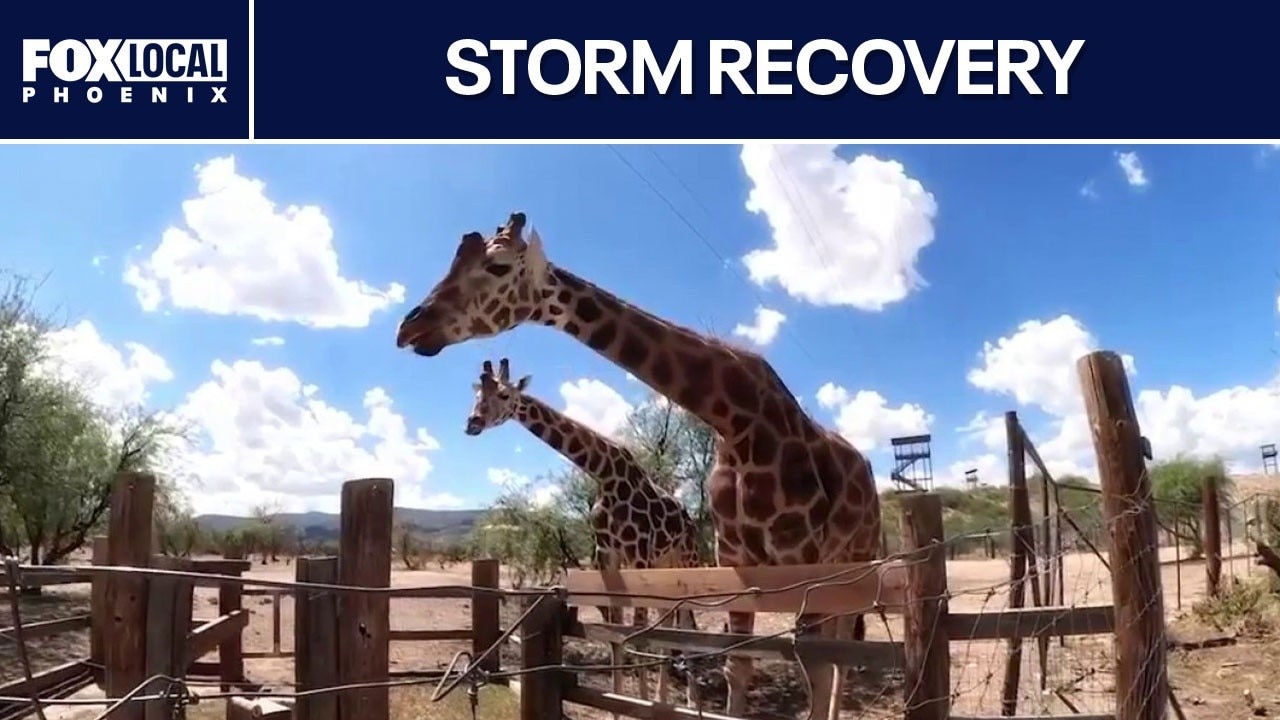 Out of Africa Wildlife Park reopens