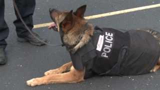 MECA Vest a K-9 Fest, an event designed to help K-9 dogs