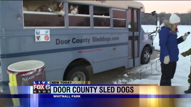 The Door County Sled Dogs are preparing for their season