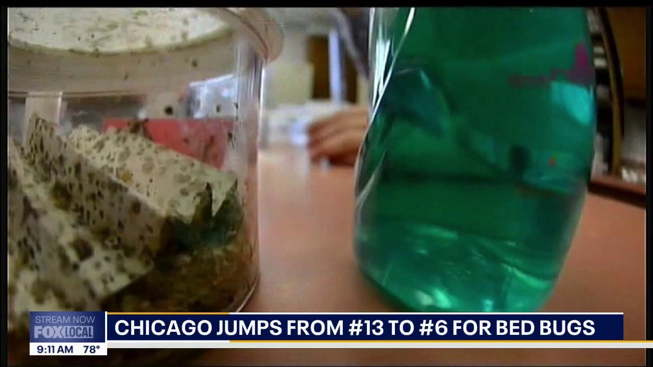 Chicago ranks among top cities for bed bugs