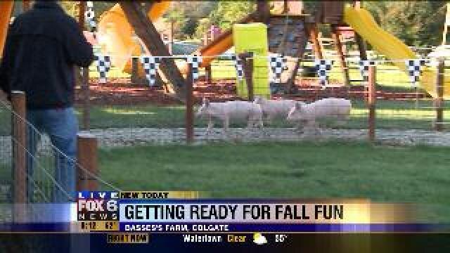 Basse's Taste of Country Farm Market