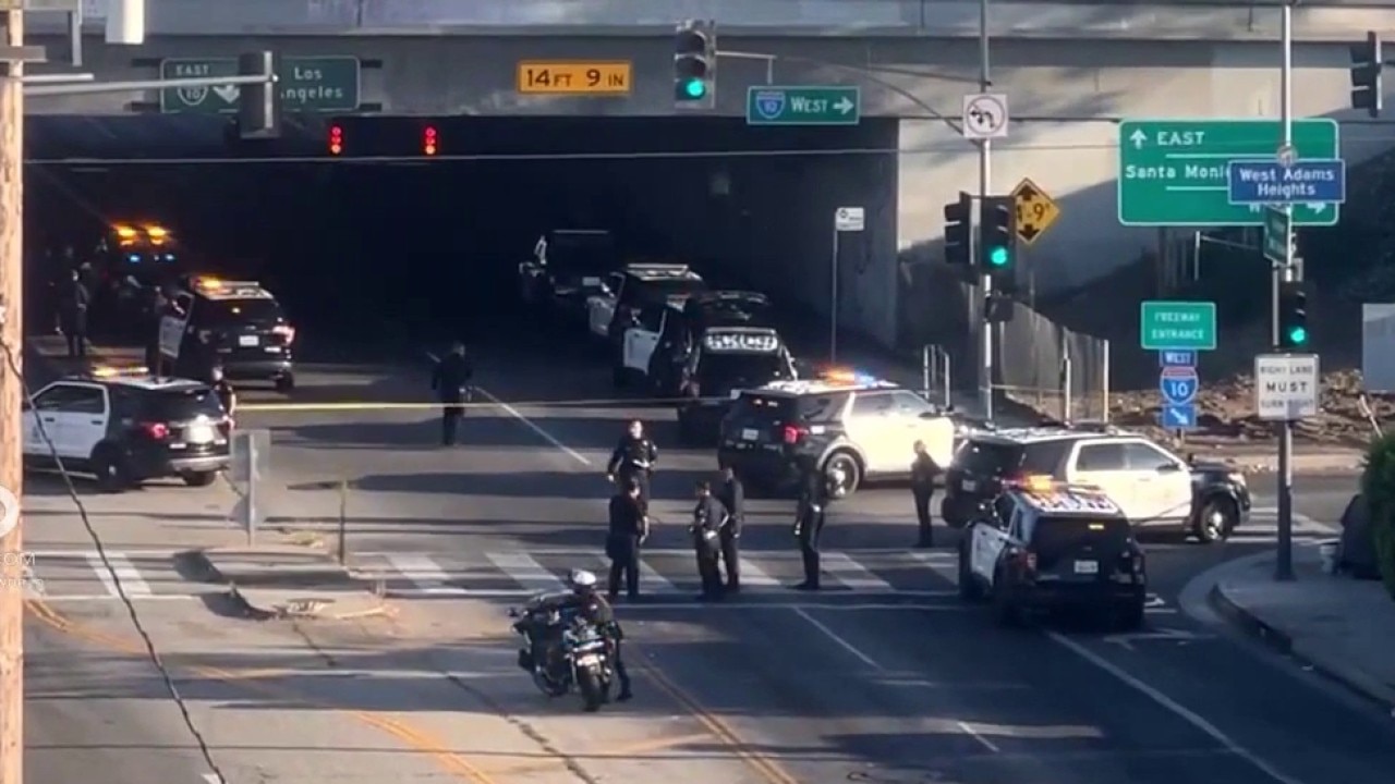 Man shot and killed by LAPD officers in South LA