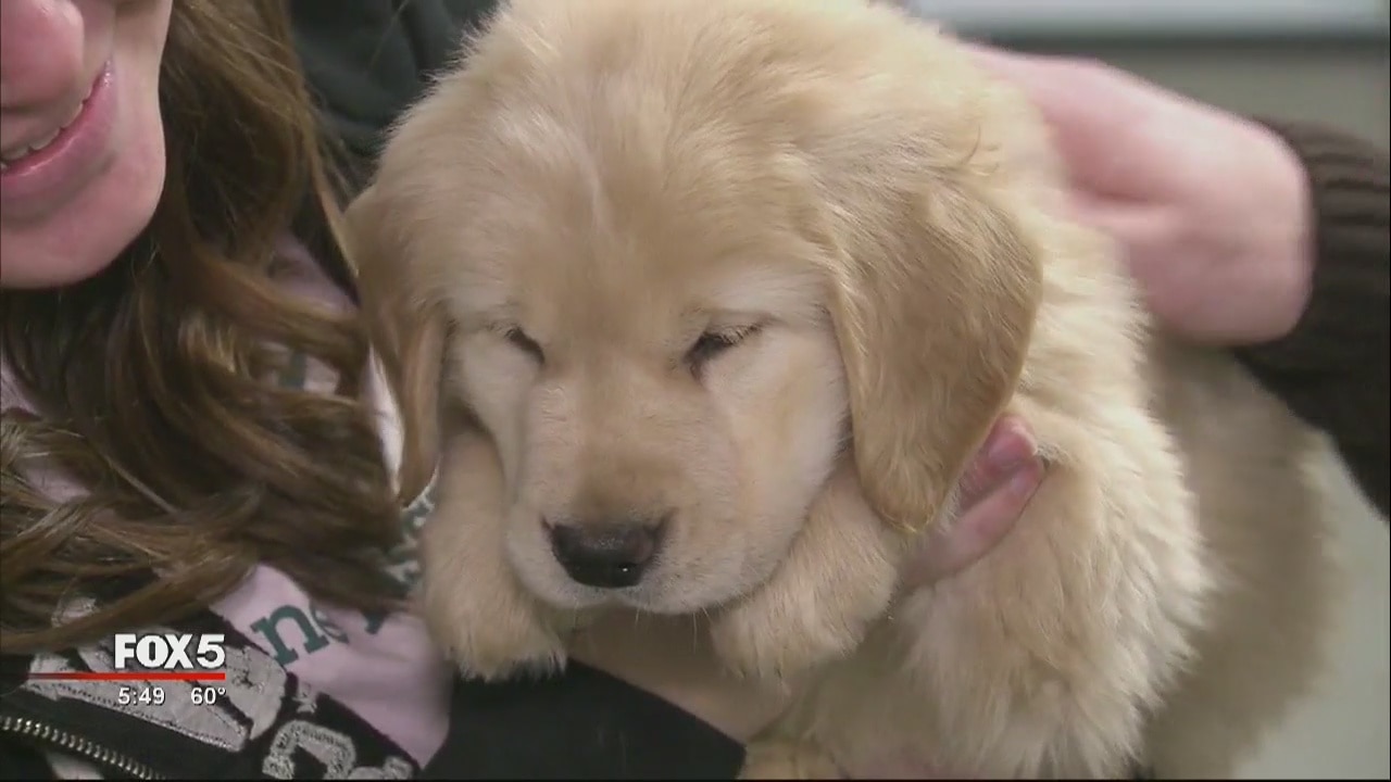 Operation Max - Training for the trainers