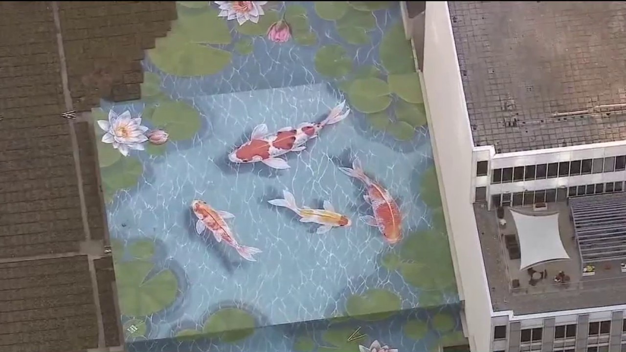 Giant koi pond mural brings art to Chicago's Loop