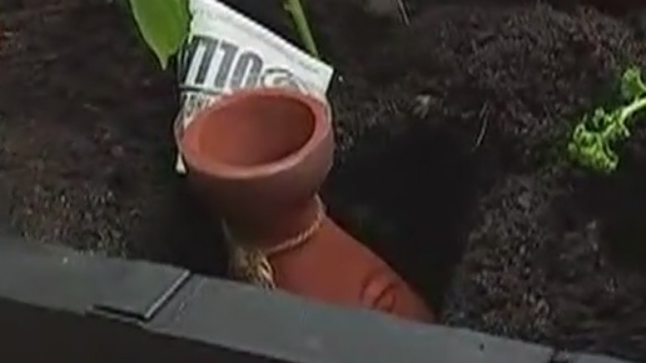 Your Garden: Keeping plants watered