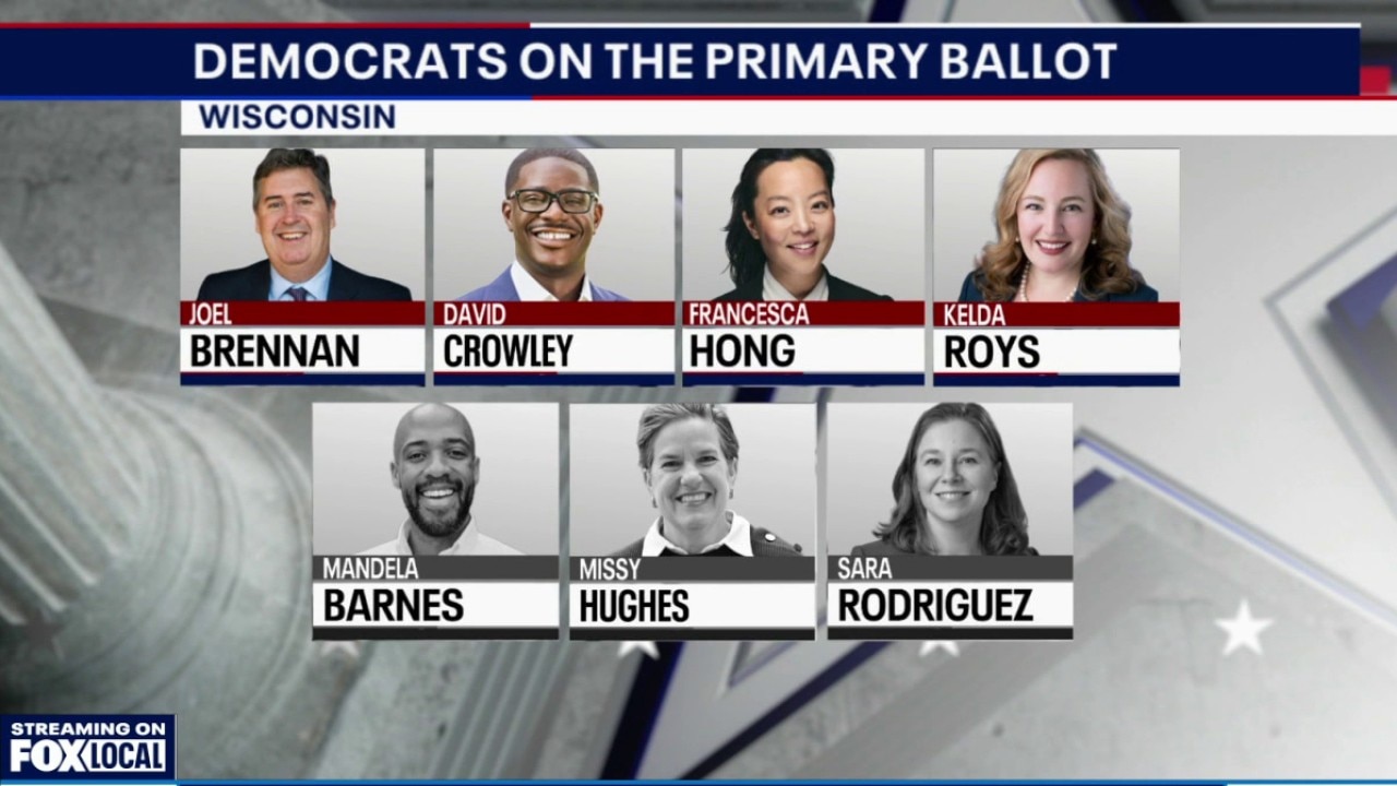 Wisconsin democratic primary; state of the race