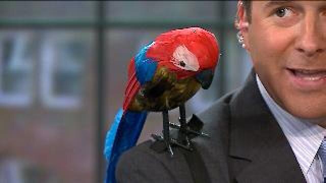 Tickets go on sale for Real Pirates exhibit