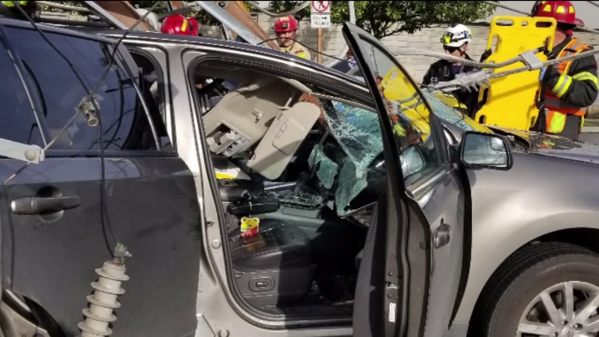 Couple trapped inside car crushed by power line share their story