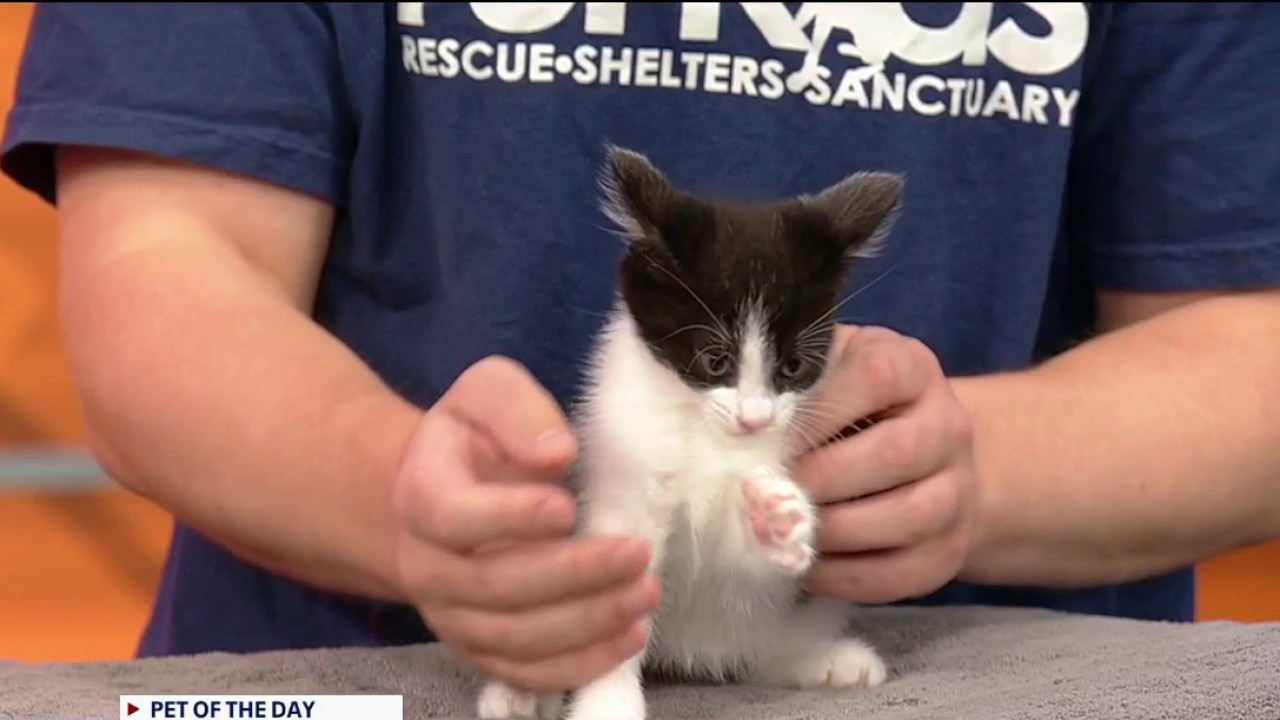 Pet of the day: Jana