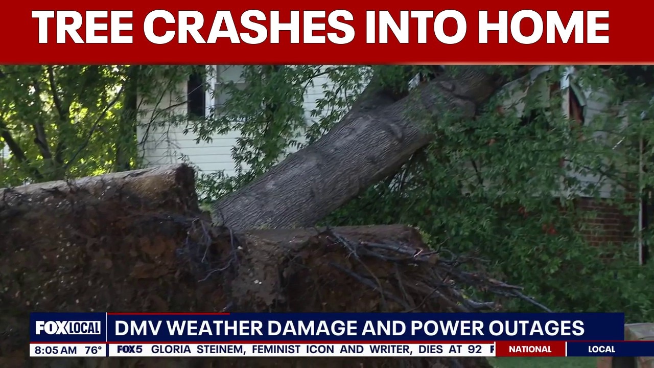 Child rescued after tree crashes into Prince George’s County home during storms