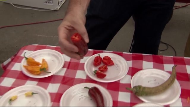 Brian Kramp pops some peppers at Milaeger`s
