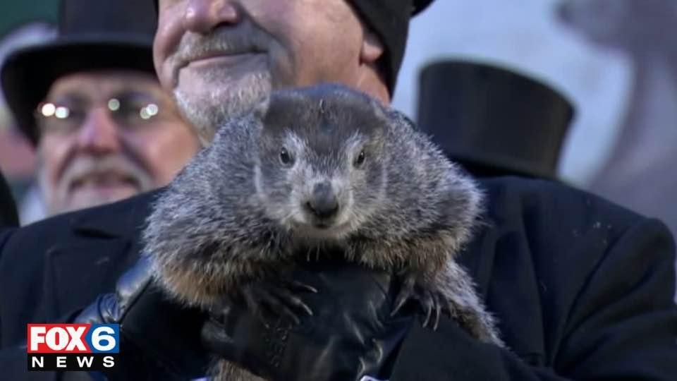 Groundhog sees his shadow