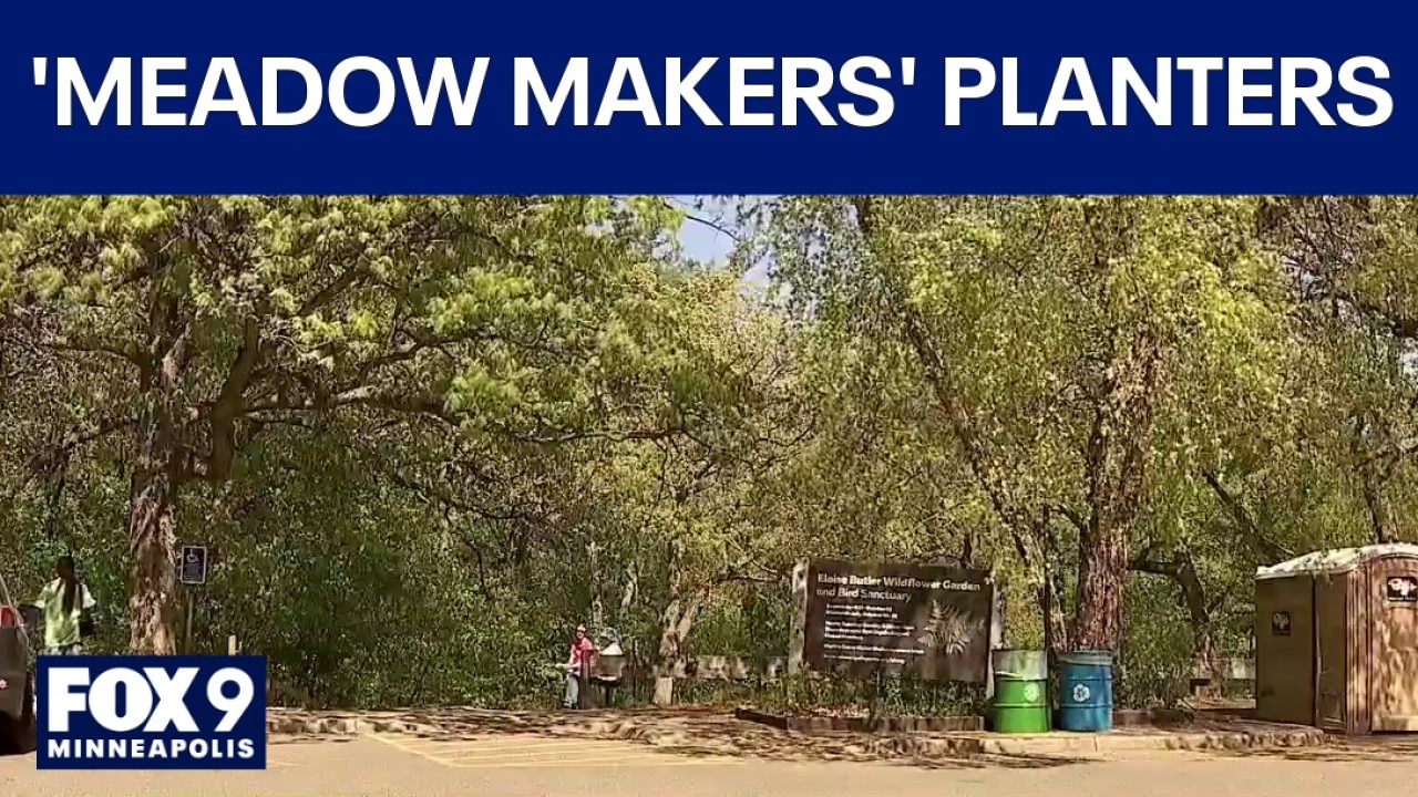 ‘Meadow Makers’ group tends to plants at Theodore Wirth Park