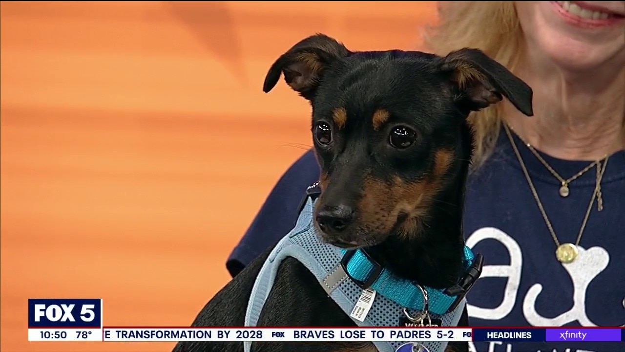 Pet of the day: Ethel