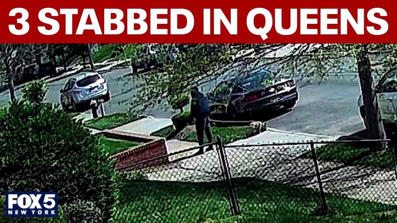 3 stabbed in Queens in dispute over dog urinating on lawn