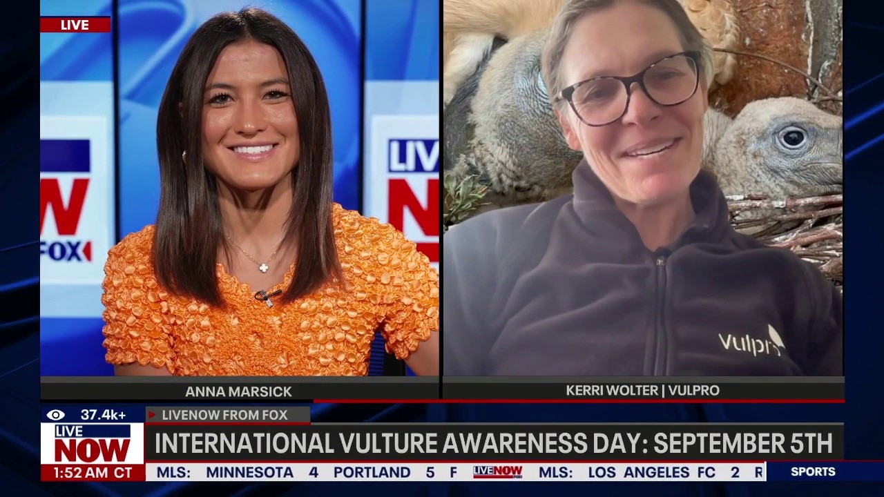 International vulture awareness day