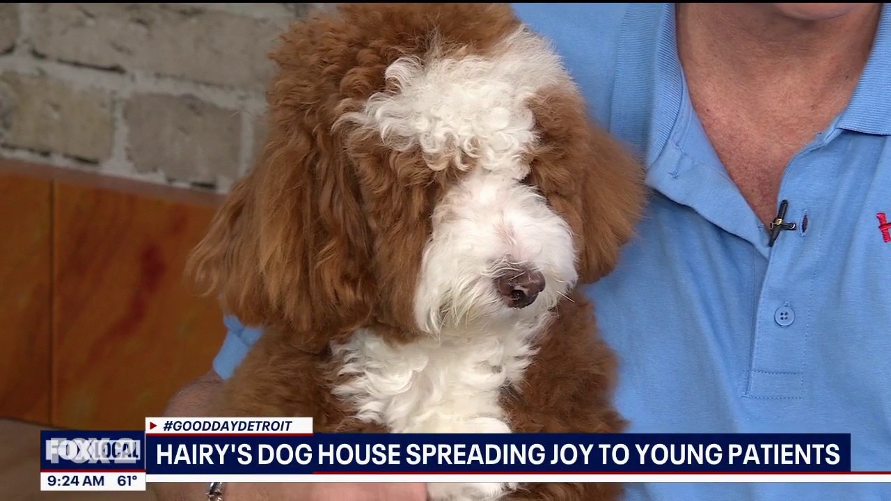 Dog helps bring hope to young patients
