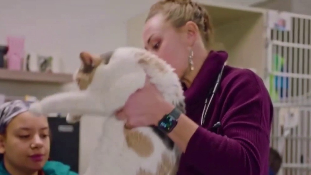 World Veterinary Day: Thanking veterinarians