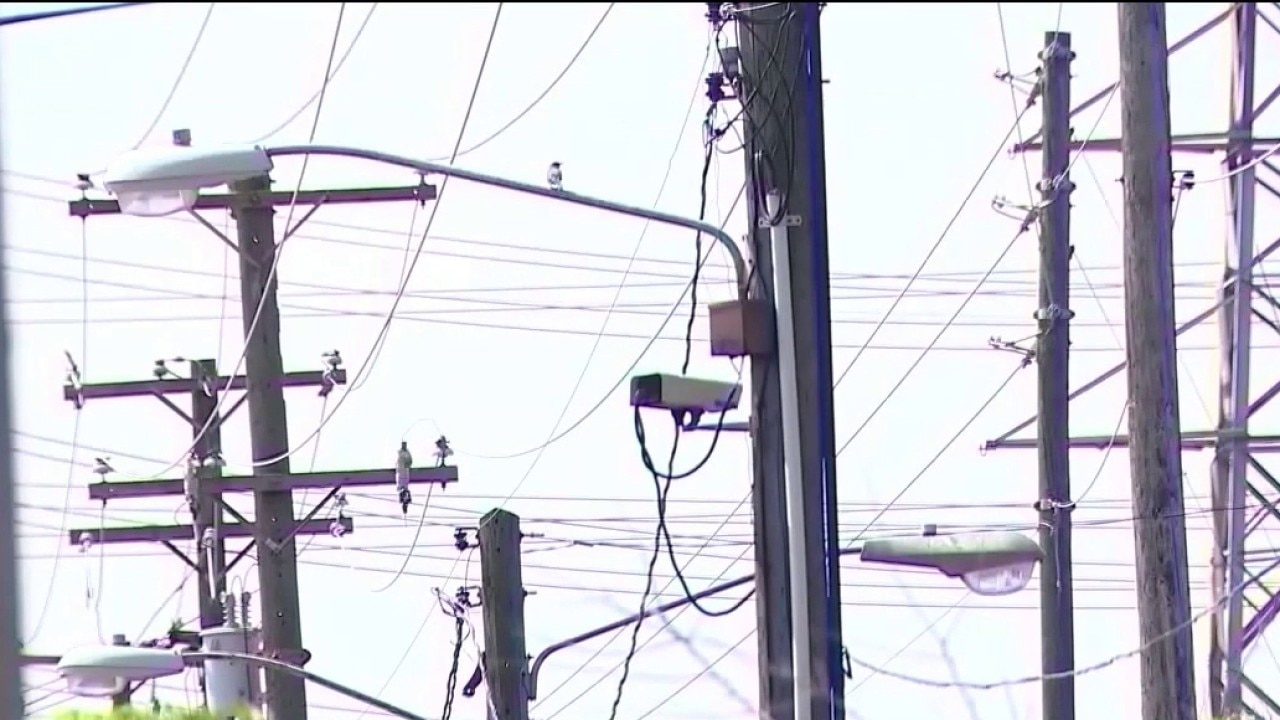 Democrats seek PSC majority over power hikes