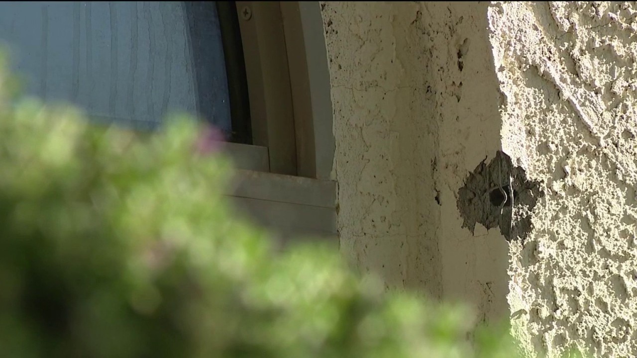 Suspects at large after opening fire at Tolleson house party