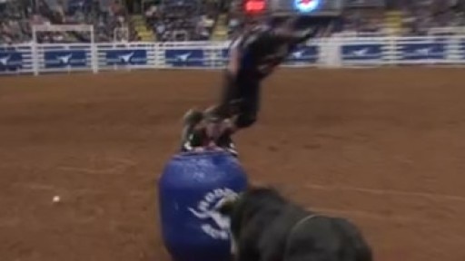 What it takes to be a professional bull rider