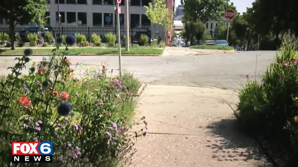 Brewers hill carjacking