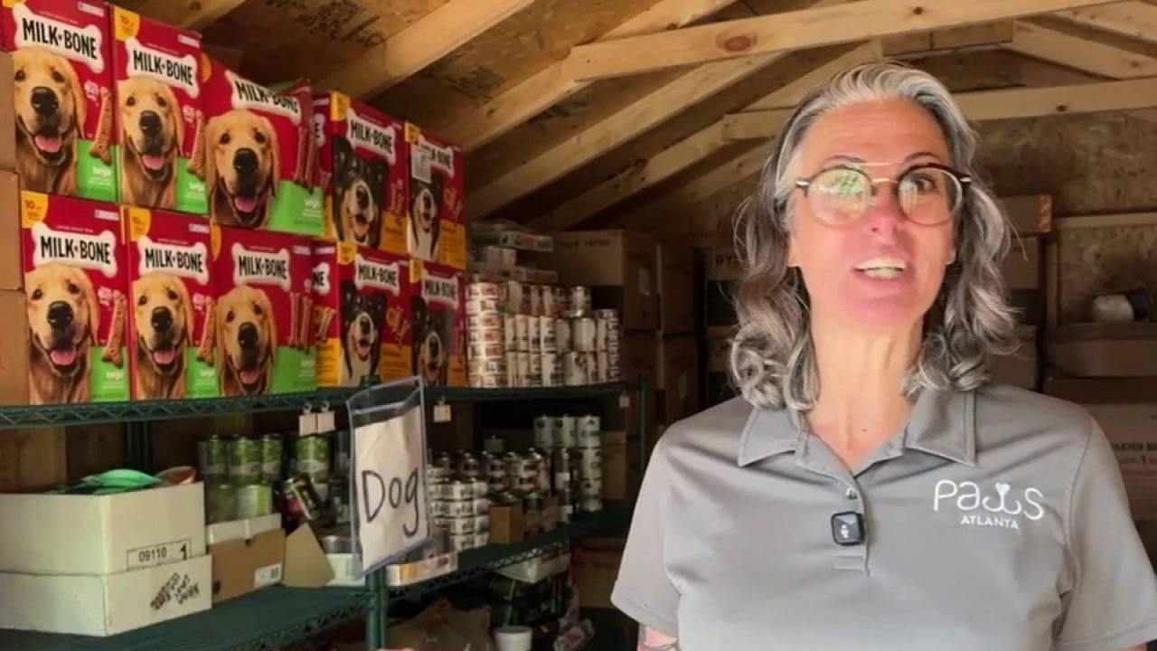 Change a life by adopting a shelter dog from PAWS Atlanta