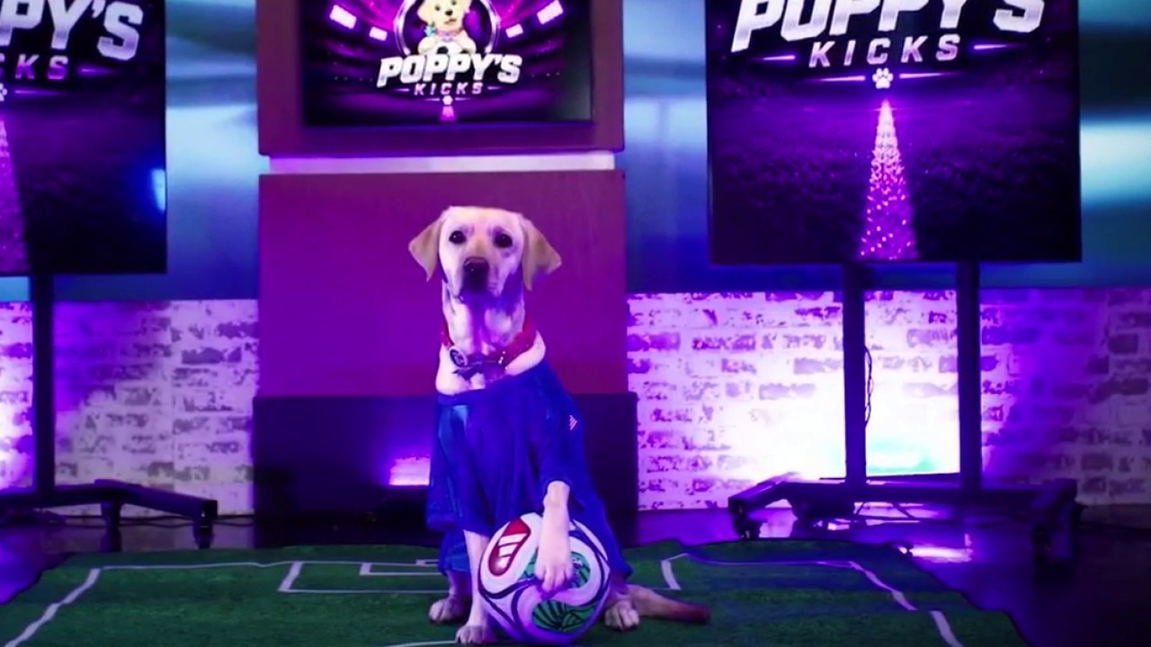 Poppy's Kicks | Spain vs. Portugal