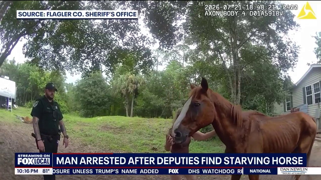 Man arrested after 27-year-old horse found starving, officials say