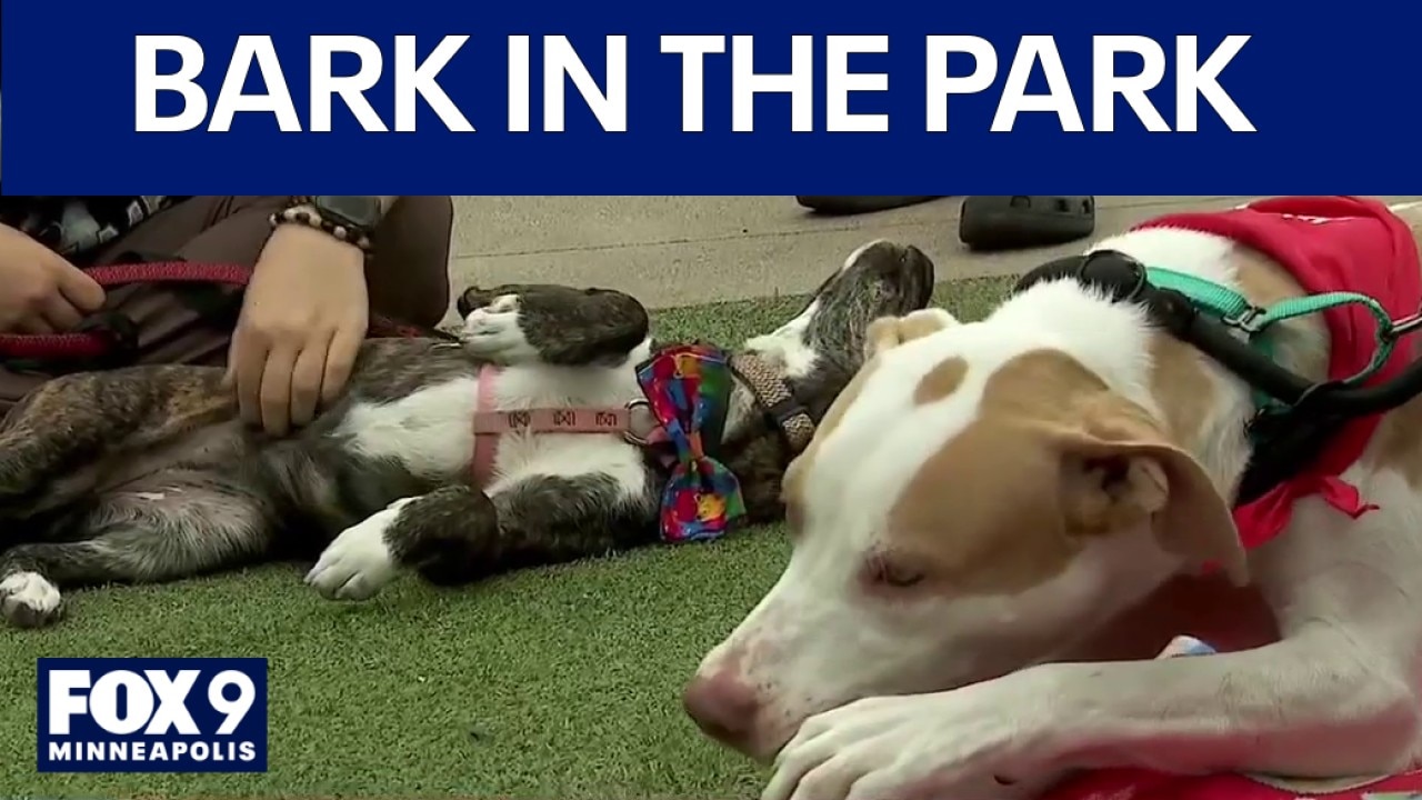 Twins Tuesday: Bark in the Park