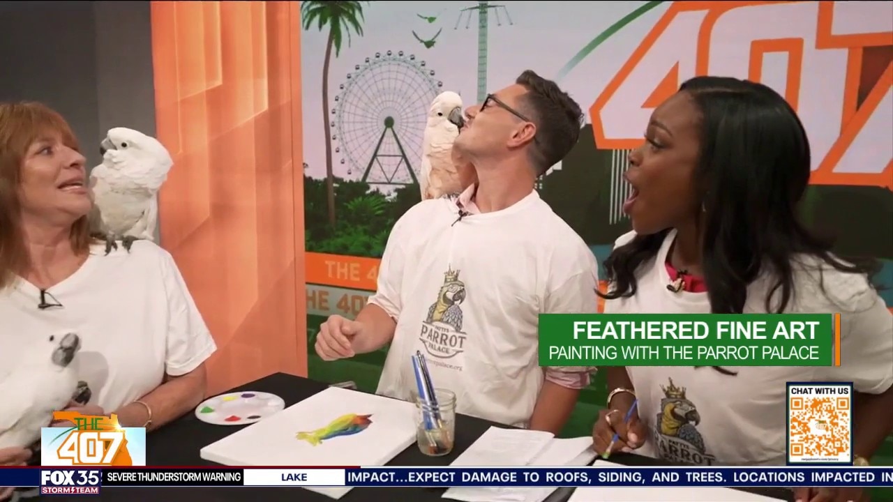 Painting With Parrots: Art Meets Bird Rescue