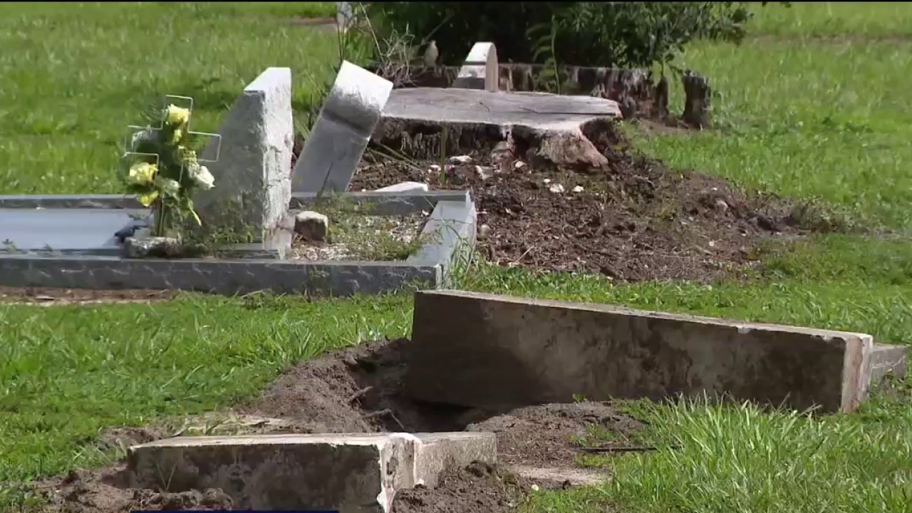 Dozens of graves damaged