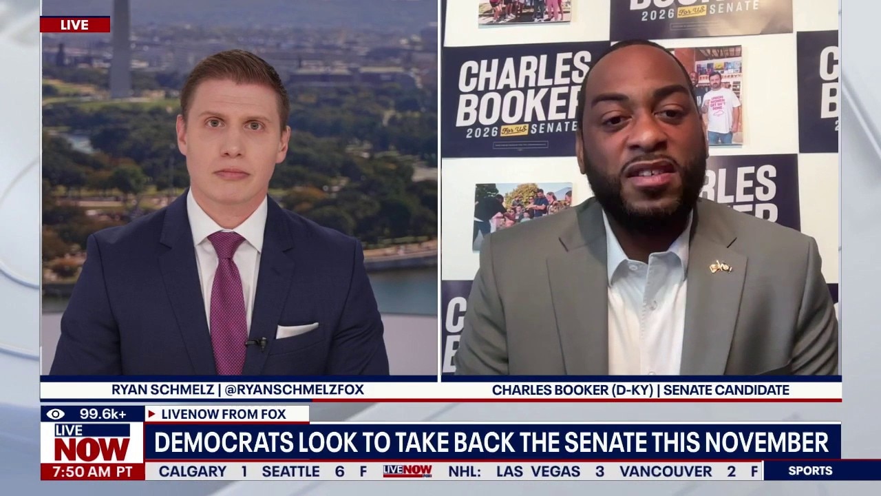 Democrats look to take back the Senate in midterms