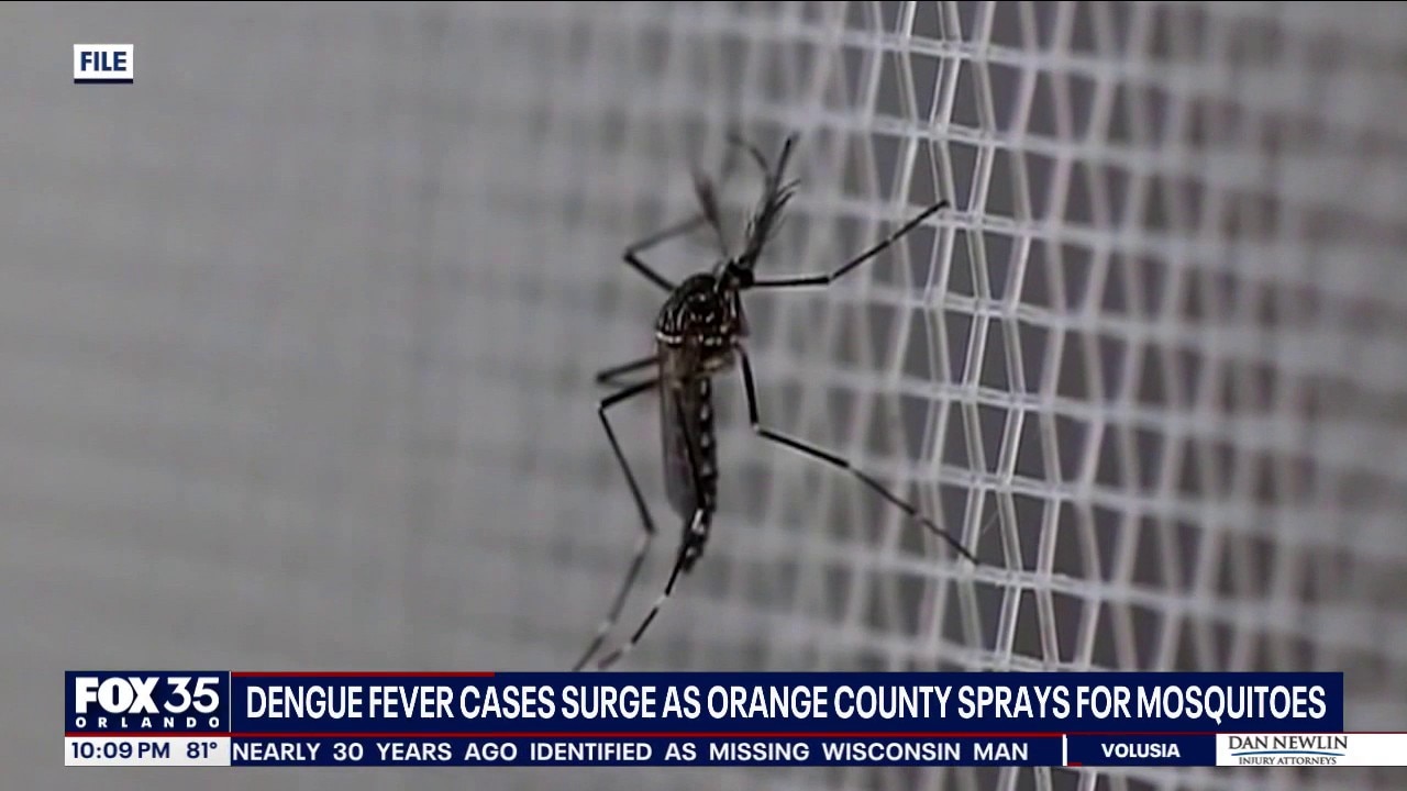 Florida dengue outbreak prompts mosquito spraying
