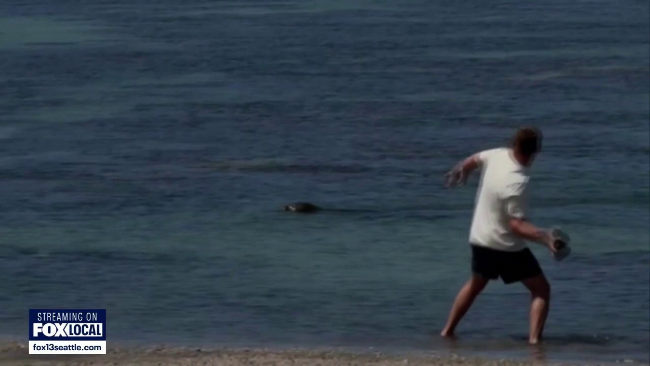 Accused monk seal rock thrower has travel restrictions eased