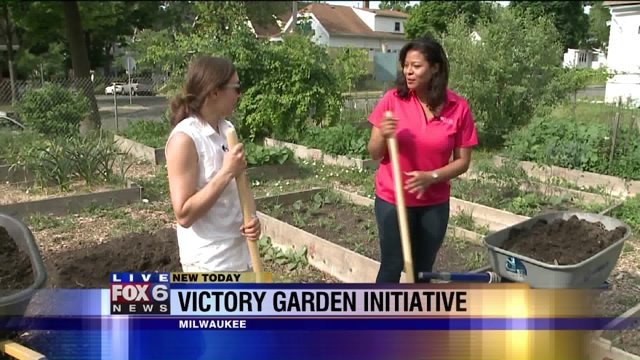 Derica learns all about the garden beds at Victory Garden initiative